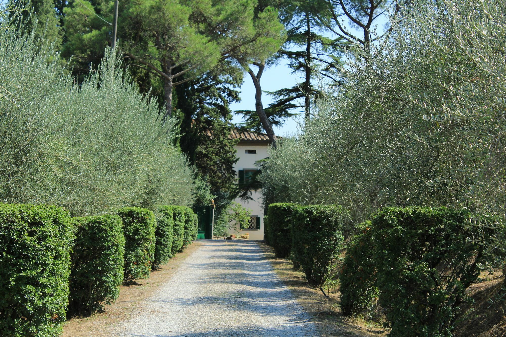 La Morina * Cortona