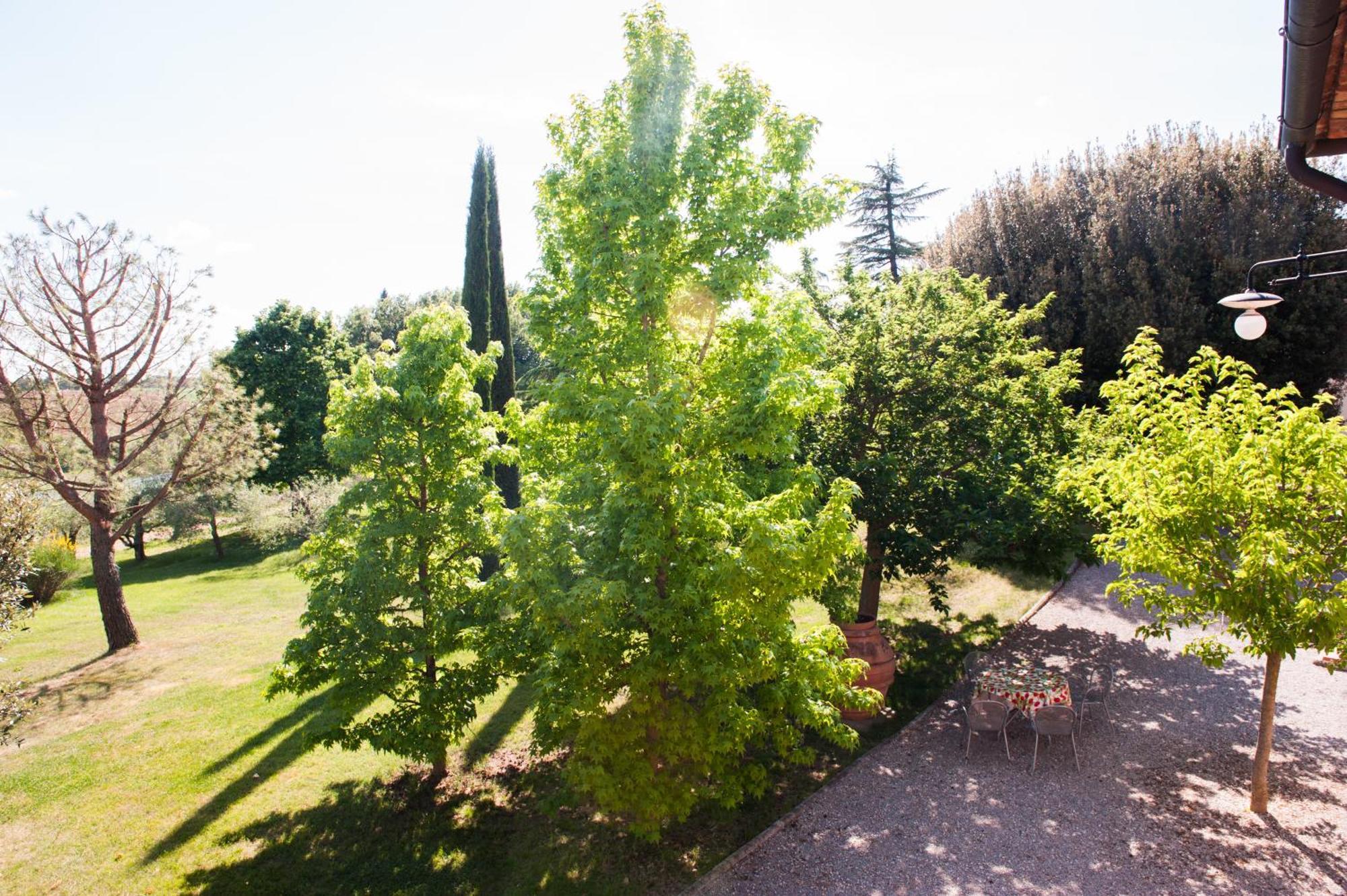 La Morina Cortona