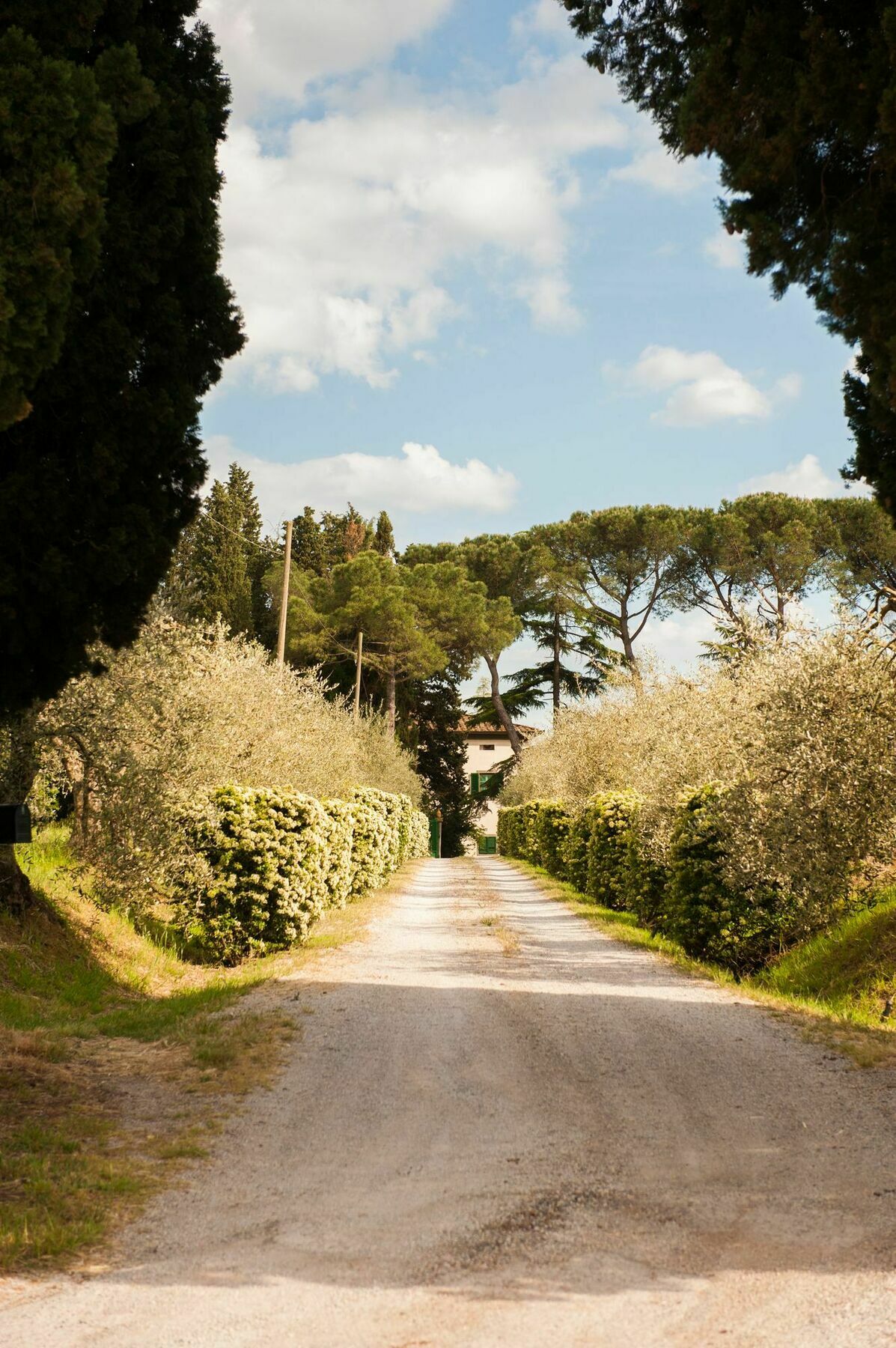 Agroturismo La Morina *