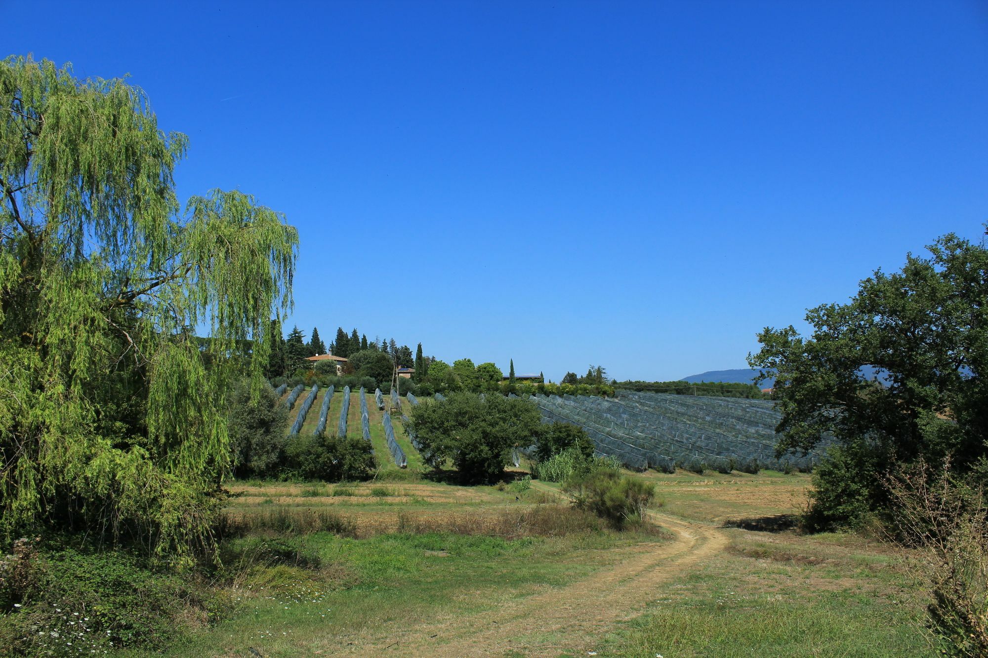 La Morina Agroturismo